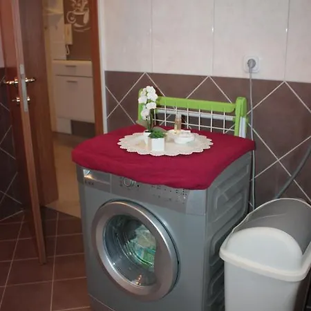 Apartman Gaby Апартаменты Dracevac