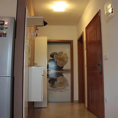 Apartman Gaby Апартаменты Dracevac